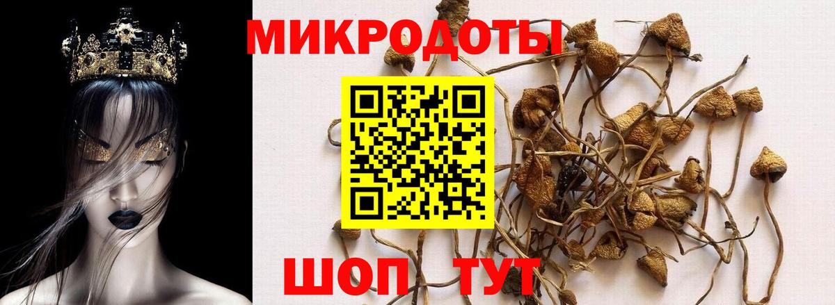 Сергиев Посад  Галлюциногенные грибы MAGIC MUSHROOMS  Псилоцибиновые грибы ЛСД  Вход с VPN 