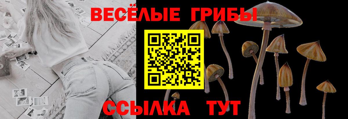 Псилоцибиновые грибы прущие грибы Сергиев Посад